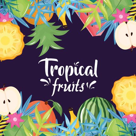 tropical fruits and leafs palms frame vector illustration designのイラスト素材