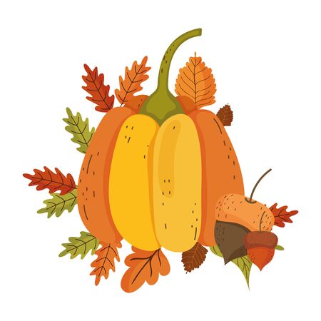 Pumpkin and acorn design, Fruit healthy organic food sweet and nature theme Vector illustrationのイラスト素材