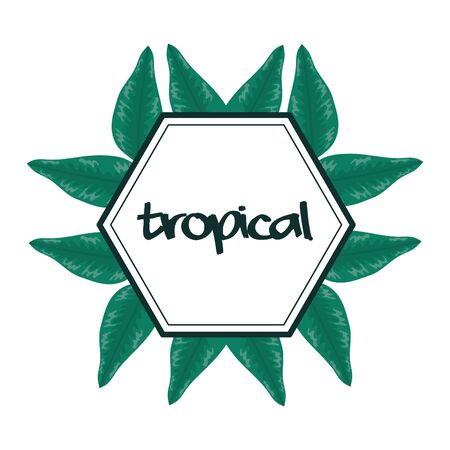 geometric frame with tropical leafs vector illustration designのイラスト素材