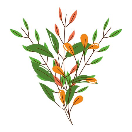 Leaves design, Plant floral garden nature decoration ornament and season theme Vector illustrationのイラスト素材