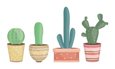 set of exotic cactus plants in ceramic potsのイラスト素材