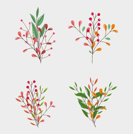 foliage branch leaves natural design vector illustrationのイラスト素材