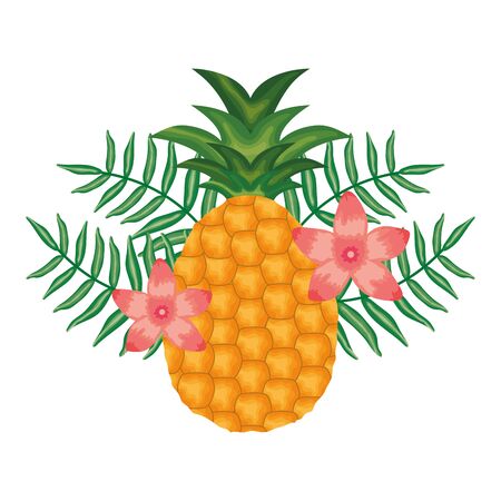 fresh pineapple fruit with floral decoration vector illustration designのイラスト素材