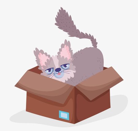 cute cat in box domestic cartoon animal, petsのイラスト素材