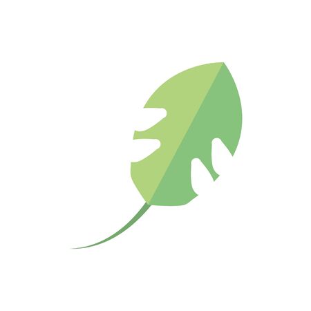 leaf foliage natural floral botanical on white backgroundのイラスト素材