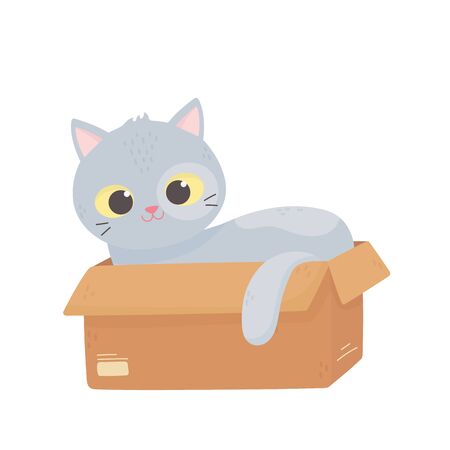 cute gray cat lying in the cardboard box cartoonのイラスト素材