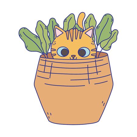 little cat in the basket with nature iconのイラスト素材