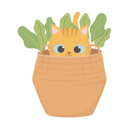 little cat in the basket with nature iconのイラスト素材