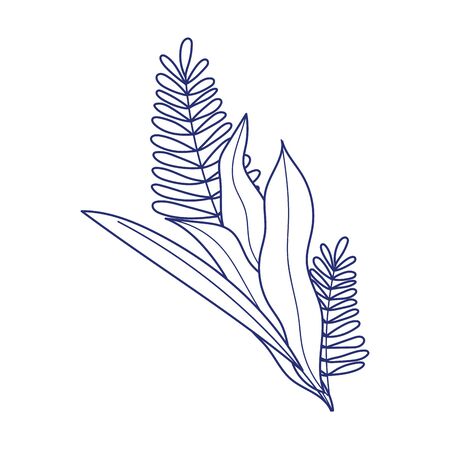 branches leaves foliage nature botanical isolated icon design line styleのイラスト素材