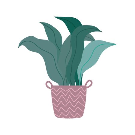 potted plant decoration interior gardening isolated icon design vector illustrationのイラスト素材