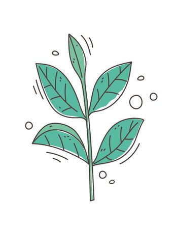 healthy food nutrition diet organic herb fresh icon vector illustrationのイラスト素材