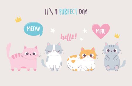 cute kittens with lettering cartoon animal funny character vector illustrationのイラスト素材
