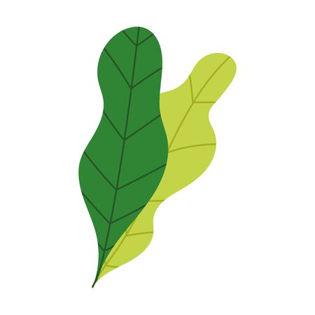 leaves foliage nature botanical isolated design icon vector illustrationのイラスト素材