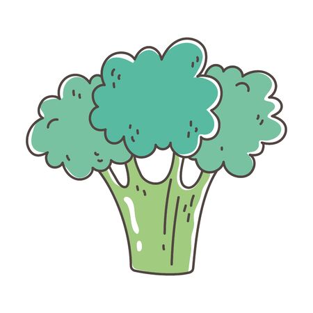 broccoli organic vegetable fresh nutrition healthy food isolated icon design vector illustrationのイラスト素材