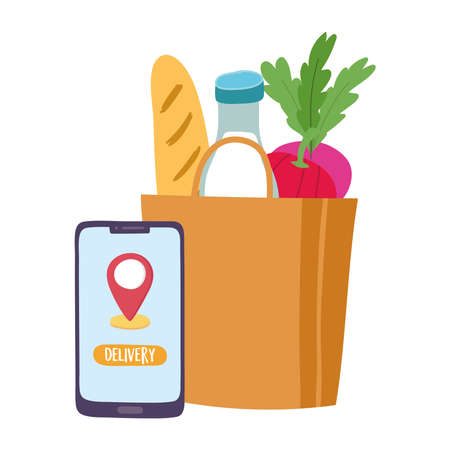 safe delivery at home during coronavirus covid 19 , courier man with medical mask and market bag vector illustrationのイラスト素材