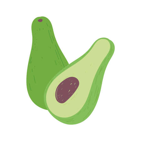 avocado fresh nutrition food isolated icon design vector illustrationのイラスト素材