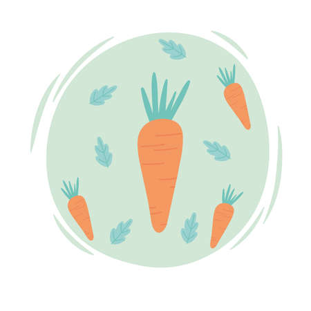 carrots vegetable harvest organic healthy natural leaves design vector illustration