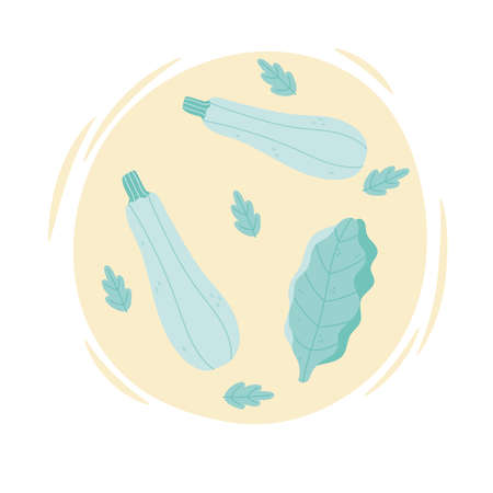zucchini vegetable harvest organic healthy natural leaves design vector illustrationのイラスト素材