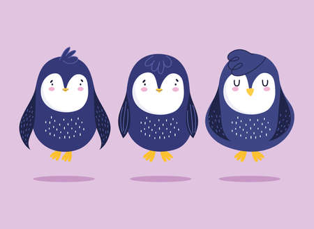 penguins cartoon antarctic bird animal wildlife set illustrationのイラスト素材