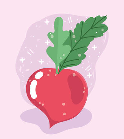 food vegetable menu fresh diet ingredient radish icon  illustrationのイラスト素材