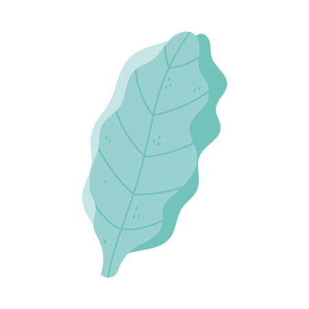 green leaf foliage nature isolated icon design white background vector illustrationのイラスト素材