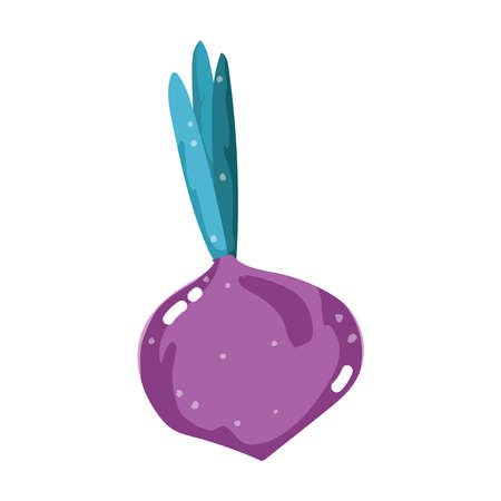 beet root vegetable fresh cartoon isolated icon white background bright vector illustrationのイラスト素材