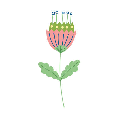 flower stem leaves decoration natural isolated icon design vector illustrationのイラスト素材
