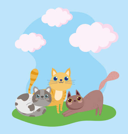 pet shop, cute cats feline animals domestic cartoon vector illustrationのイラスト素材