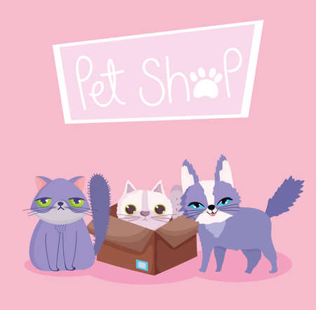 pet shop, ugly and fluffy cats in box animal domestic cartoon vector illustrationのイラスト素材