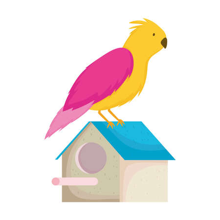 pet shop bird in the house cartoon isolated white background design vector illustrationのイラスト素材