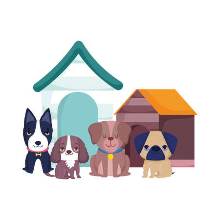 pet shop, cute little dogs sitting different breed and houses animal domestic cartoon vector illustrationのイラスト素材