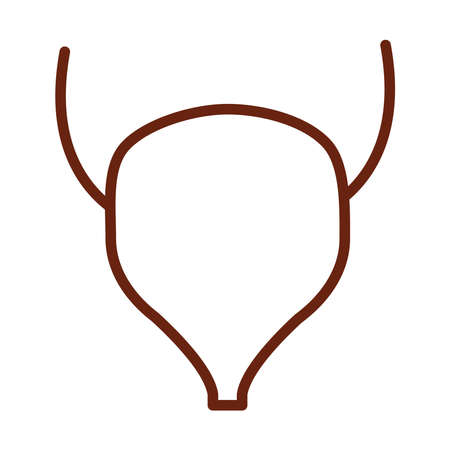 human body bladder anatomy organ health line icon style vector illustrationのイラスト素材