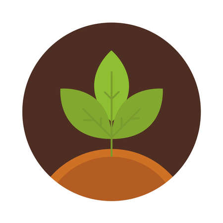 agriculture and farming growth plant ground block and flat icon vector illustrationのイラスト素材