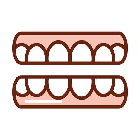 human body teeth mouth anatomy organ health line and fill icon vector illustration