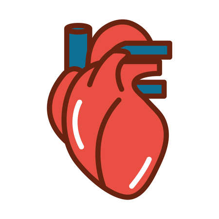 human body heart veins anatomy organ health line and fill icon vector illustrationのイラスト素材