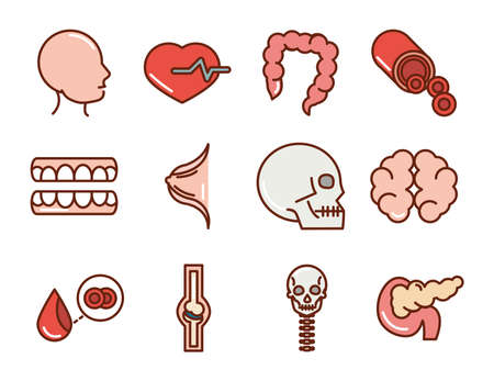 human body anatomy organs health icons head heart intestine skull brain teeth collection line and fill vector illustrationのイラスト素材