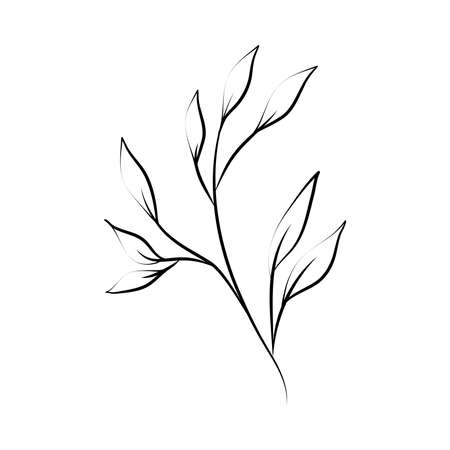 minimalist tattoo rustic branch flora line art herb and leaves vector illustrationのイラスト素材