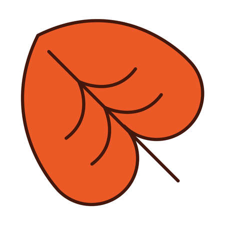 autumn leaf nature botany vector illustration line and fill iconのイラスト素材