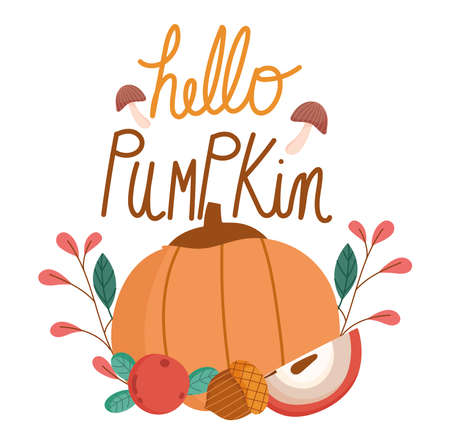 hello autumn, greeting card decorative pumpkin acorn fruit leaves vector illustrationのイラスト素材