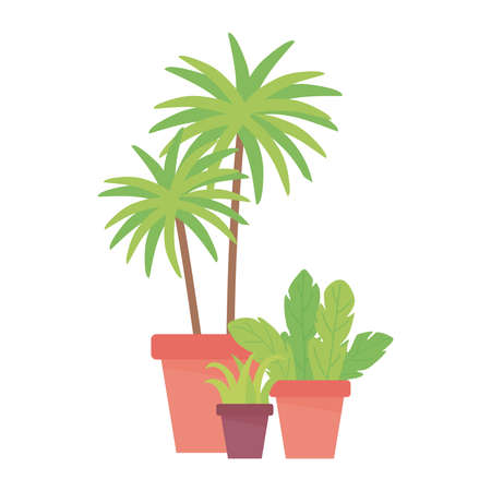 interior decoration potted plants isolated design white background vector illustrationのイラスト素材