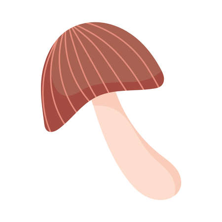 mushroom nature isolated design white background vector illustrationのイラスト素材