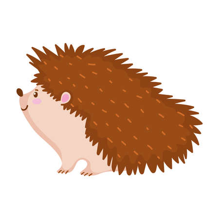 hedgehog animal fauna isolated design white background vector illustrationのイラスト素材