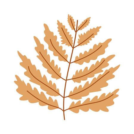 brnach foliage autumn isolated design white background vector illustrationのイラスト素材