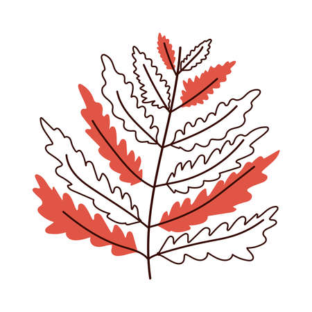 banch foliage autumn isolated design white background vector illustration line and fill styleのイラスト素材