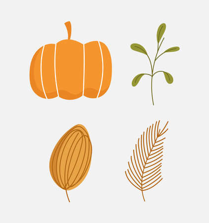 autumn pumpkin branch leaf foliage nature icons vector illustrationのイラスト素材