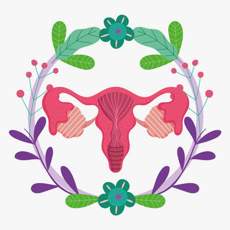 female human reproductive system, sex organ flowers beauty vector illustrationのイラスト素材