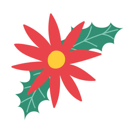 merry christmas, poinsettia flowers and leaves decoration, isolated design vector illustrationのイラスト素材