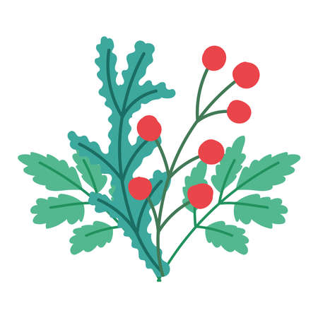 merry christmas, holly berry decoration ornament, isolated design vector illustrationのイラスト素材