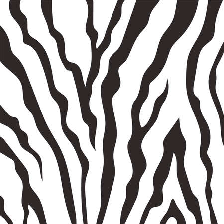 animal skin print pattern, zebra skin detail and texture vector illustrationのイラスト素材
