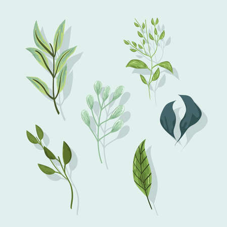 foliage branches leaf nature ecology set icons vector illustrationのイラスト素材